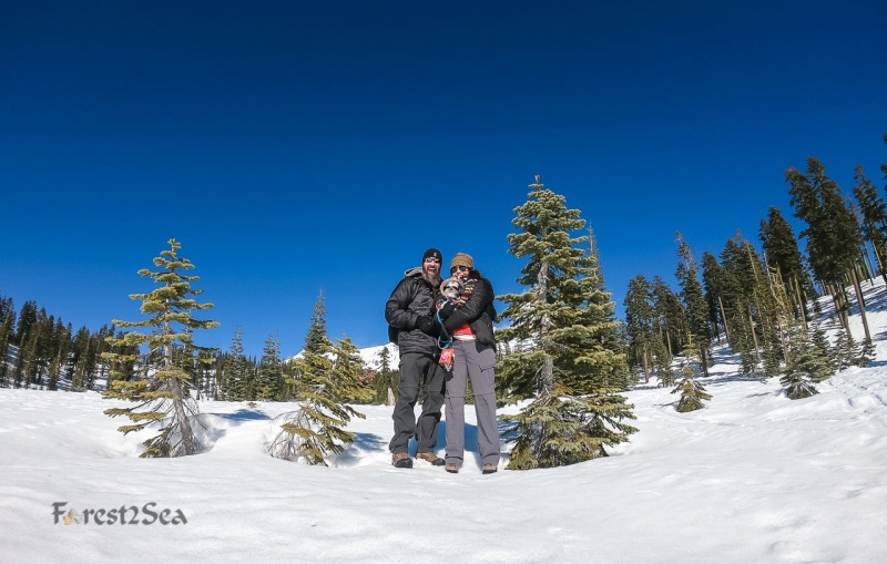 We took a road trip up to Mount Shasta in February to see the snow
