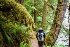 CrtrGrl hiking in the beautiful North Cascades National Park, WA